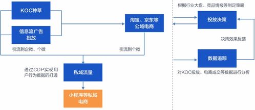 从KOC种草到私域构建 挖数科技如何以数字技术赋能品牌，孵化下一个完美日记