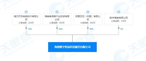 海南数字贸易科技服务公司成立，阿里巴巴持股40%引领数字技术服务新浪潮