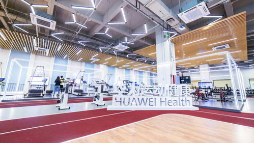 华为运动健康科学实验室首度公开 三项健康研究引领数字健康未来新趋势